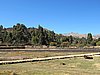 IMG_6174.JPG