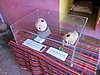 IMG_6196.JPG