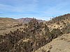 IMG_6275.JPG