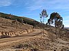 IMG_6277.JPG