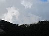 IMG_6310.JPG