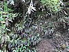 IMG_6313.JPG