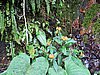 IMG_6314.JPG
