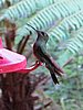 IMG_6328.JPG