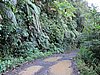 IMG_6332.JPG