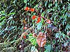 IMG_6333.JPG