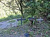 IMG_6334.JPG