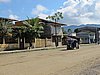 IMG_6335.JPG