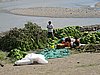 IMG_6343.JPG