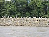 IMG_6354.JPG