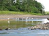 IMG_6367.JPG