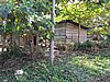 IMG_6374.JPG