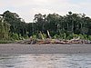 IMG_6384.JPG