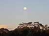 IMG_6386.JPG