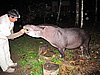 IMG_6389.JPG