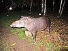 IMG_6393.JPG