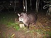 IMG_6394.JPG