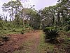 IMG_6400.JPG