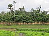 IMG_6401.JPG