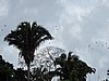 IMG_6406.JPG