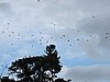 IMG_6407.JPG