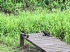 IMG_6410.JPG