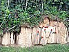 IMG_6416.JPG