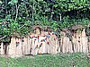 IMG_6422.JPG