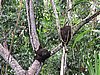 IMG_6429.JPG