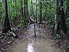 IMG_6431.JPG