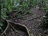 IMG_6435.JPG