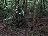 IMG_6436.JPG
