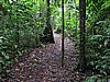 IMG_6440.JPG