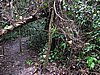 IMG_6443.JPG
