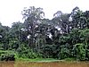 IMG_6451.JPG