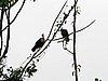 IMG_6457.JPG