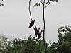 IMG_6459.JPG