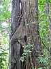 IMG_6485.JPG