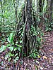 IMG_6486.JPG