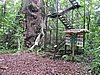 IMG_6490.JPG