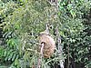 IMG_6496.JPG