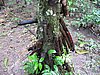IMG_6504.JPG