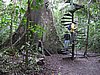 IMG_6505.JPG