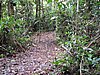 IMG_6508.JPG