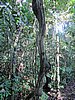 IMG_6510.JPG