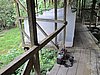 IMG_6512.JPG