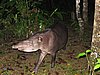 IMG_6524.JPG