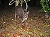 IMG_6528.JPG
