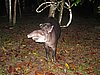 IMG_6529.JPG