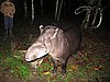 IMG_6530.JPG
